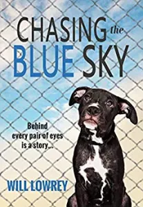 À la poursuite du ciel bleu – Revue éditoriale – The Book Review Directory